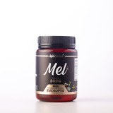 Mel De Eucalipto 500g Direto Do Produtor - Santa Catarina