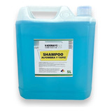 Shampoo Alfombra Y Tapiz 5 Litros