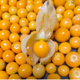 Semillas De Physalis Golden Berry 200 Semillas.