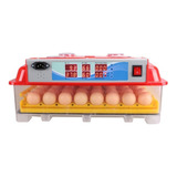 Incubadora Automática 55 Huevos Con Humidificador Y Regalos