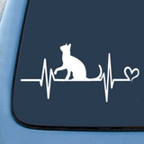 2 Sticker Para Auto Frecuencia De Gato 