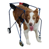 Silla De Ruedas Para Perros 4 Ruedas Hasta 15kg