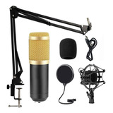 Kit Microfone Condensador Bm800 Usb Estúdio Profissional