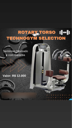 Rotary Torso Technogym Selection