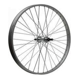 Rueda Para Bicicleta R20 36h Front Bicimex