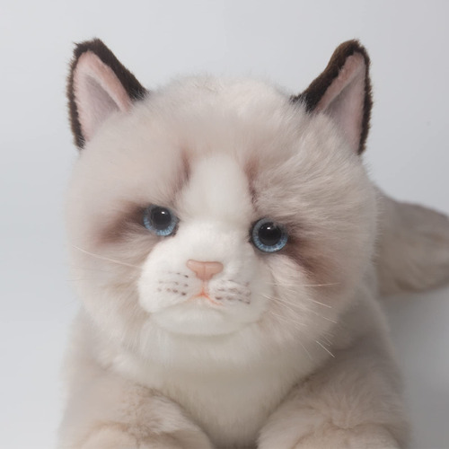 Juguete Peluche Gato Ragdoll Gris 50cm Diseño Realista Hecho