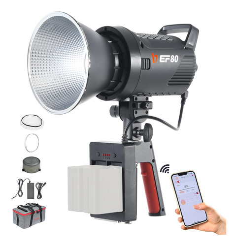 Jinbei Ef-80 80w Luz De Video Led Con Mango F970 Caja De Bat