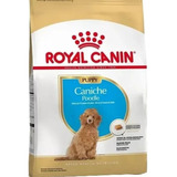 Royal Canin Puppy Caniche Poodle 3 Kg