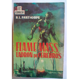 Flame Mass El Ladron De Cerebros - Fanthorpe D6