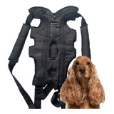 Mochila Para Perros Moto Y Bici Mochi Chunis Xxl 13 A 15 Kg