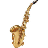 Roy Benson Sg-302 Sax Soprano Curvo Laqueado