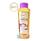 Shampoo De Cebolla Anyeluz - mL a $84