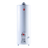 Termotanque Rheem 120 Lts Pié Multigas Functional Slim 45cm!