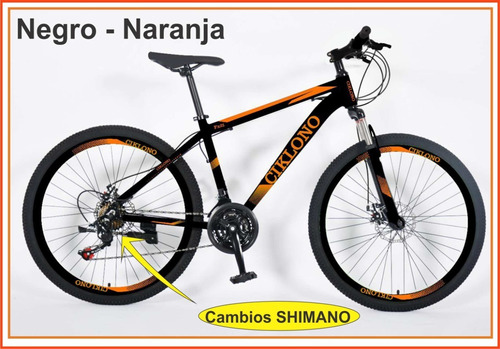 Bicicleta Todo Terreno Rin 29  -cambios Shimano - Ciklono 