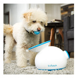 Ifetch 1 Lanzador De Bolas Para Perro