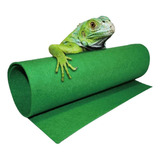 Almohadilla Hidratante Que Absorbe El Agua Para Reptiles