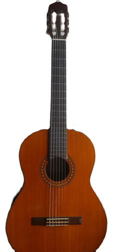 Violão Eletroacústico Takamine Nylon G-116 G Series