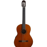 Violão Eletroacústico Takamine Nylon G-116 G Series