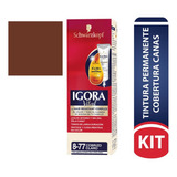  Tinte Igora Vital Permanente 8-77 Cobri - Ml Tono 8-77 Cobrizo Claro Tub