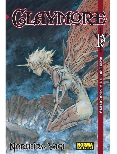Claymore No. 19: Claymore No. 19, De Norihiro Yagi. Serie Claymore Editorial Norma Comics, Tapa Blanda En Español, 2013