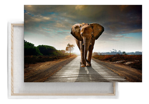 Elefante Caminando De Frente 60x90cm Cuadro Canvas Premium