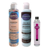 Shampoo Maskota Puppy+ Enjuague+fragancia (200ml)