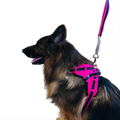 Guia Para Cães Coleira Peitoral Com Alça Reforçada Akita