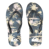 Sandalias Playa Quiksilver Molokai Air Flow Multicolor Hombr