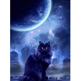 Pintura Con Diamantes 5d Gato Luna Noche 40x50cm