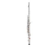 Flauta Sterling Principiante Profesional Prueba Instrumento