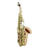 Saxofón Soprano Profesion Saxofón Viento Instrumento Rosa