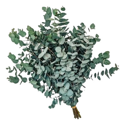 Ramo De Flores De Eucalipto Seco, Decoración Azul