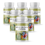 Melão De São Caetano E Berberina Kit 6 Potes - Cáps 500 Mg 