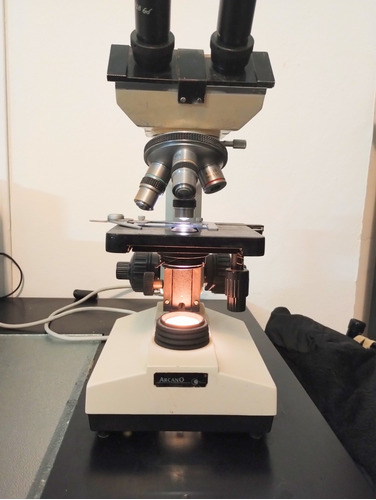 Microscopio,arcano Xsz 107 Bn