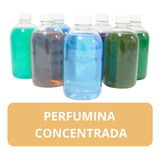 Perfumina Concentrada Para Ropa Ambientes 1l