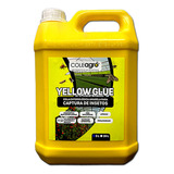 Cola Entomológica Amarela - Yellow Glue - 5 Litros