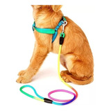 Pretal Y Correa Rainbow Multicolor Para Perro Gato Mascotas