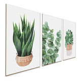 Kit 3 Quadros Decorativos Plantas Folhagem Cozinha Sala Flor