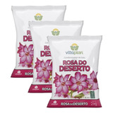 Terra Fertilizante Condicionador Solo P/ Rosa Do Deserto 6kg