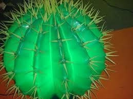 Semillas De Cactus Fluorescente 