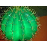 Semillas De Cactus Fluorescente 