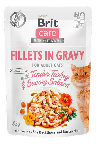 Brit Care Fillets In Gravy Turkey/salmon 85g