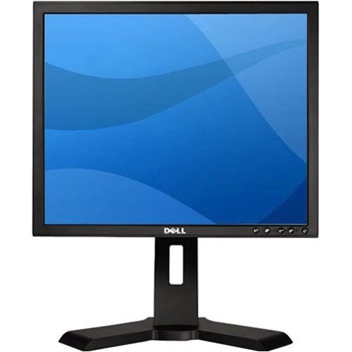 Monitor Dell 19  Cuadrado Vga Dvi Sin Base Grado B Pc Barato