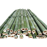 6 Varas De Bambú Natural Gruesa Adorno 100cm / 8cm Grosor