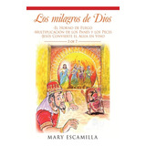 Libro Los Milagros De Dios: -el Horno De Fuego -multiplic...
