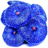 Enfeite Soma Coral Ricordea Azul 02 Aquario 