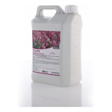 Desinfetante Master Tulipa 5l Concentrado Rende Mais