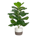 Árbol De Higo De Hoja De Violín Artificial / Ficus Ly...