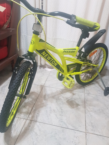 Bicicleta Nene Niño Rueditas Newton Rodado 20