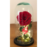 Rosa Eterna Premium ( Color A Elegir ) Forever Bloom Luz Led